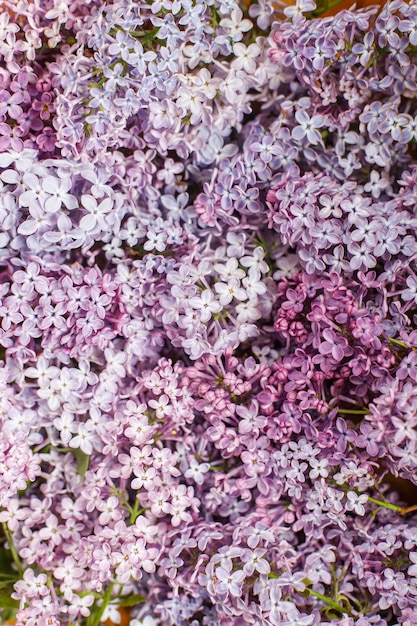 Beautiful lilac flowers flat lay on wooden background Pink and purple lilacs wallpaper Floral image