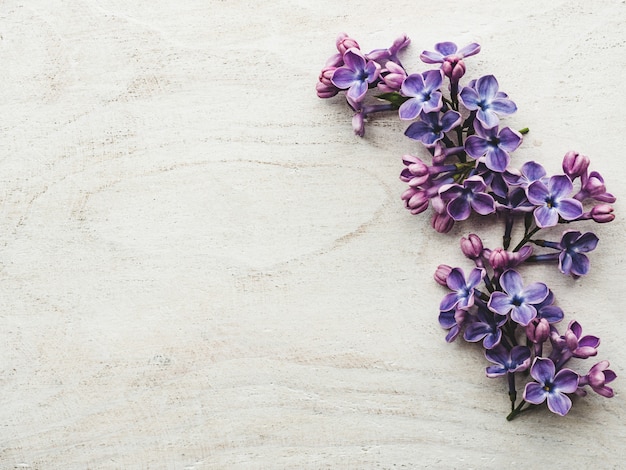 Beautiful lilac lying on a wooden table