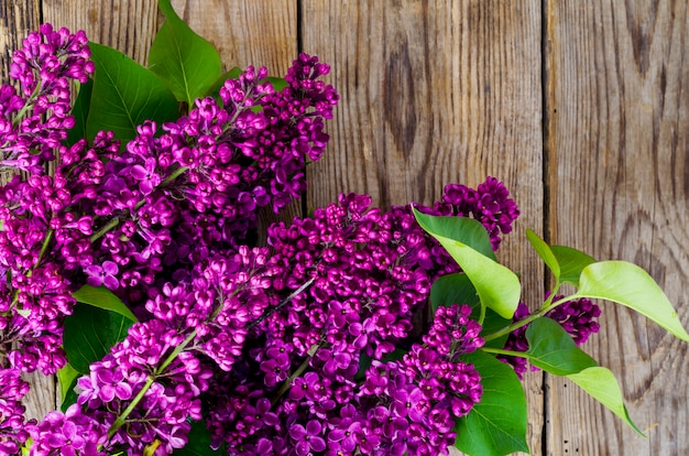 Beautiful lilac on old vintage wood