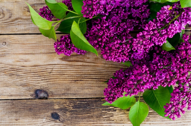 Beautiful lilac on old vintage wooden surface