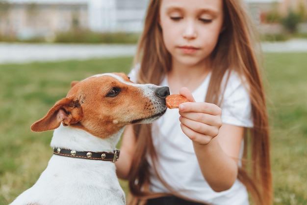 A beautiful little baby girl feeds a dog from the palm of her hand friendship of children and pets animal feed Jack Russell Terrier