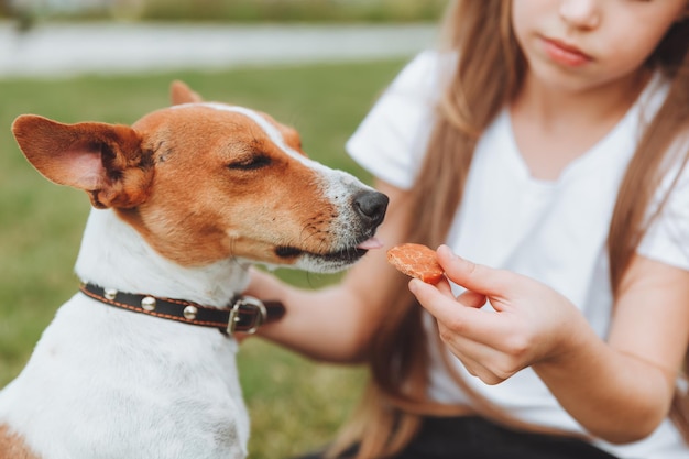 A beautiful little baby girl feeds a dog from the palm of her hand friendship of children and pets animal feed Jack Russell Terrier