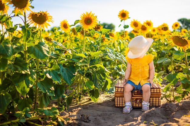 Beautiful little girl in blooming sunflower field in summertime