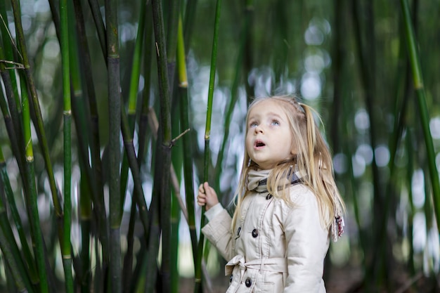 Beautiful little girl with blonde hair standing in a bamboo forest and shaking bamboo