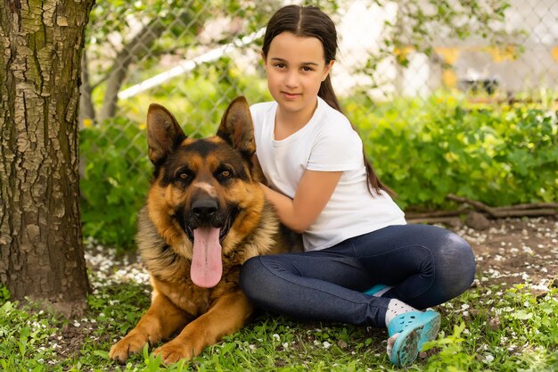 beautiful little girl with a german shepherd playing on the lawn at the day time.