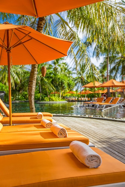 Beautiful luxury umbrellas chairs, outdoor swimming pool in resort with coconut palm trees sunset