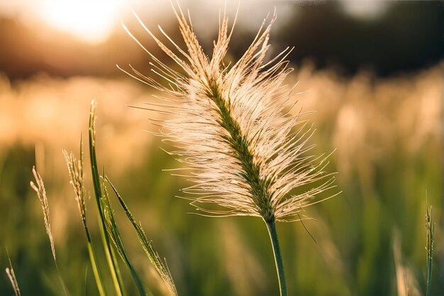 Beautiful Macro Photography of Nature