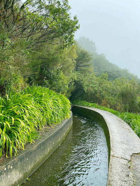 Beautiful Madeira landscape