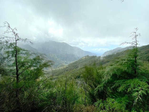 Beautiful Madeira landscape