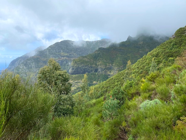 Beautiful Madeira landscape