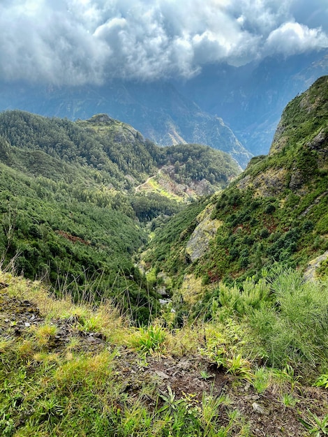 Beautiful Madeira landscape