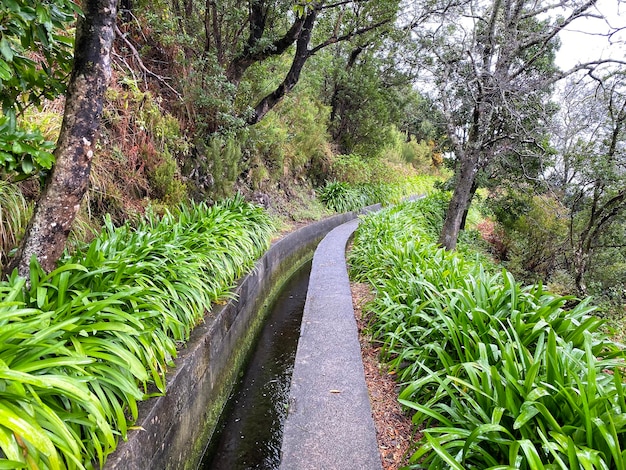 Beautiful Madeira landscape