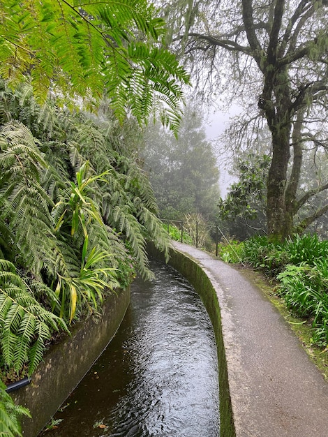 Beautiful Madeira landscape