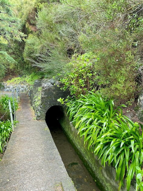 Beautiful Madeira landscape