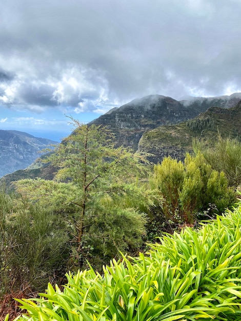 Beautiful Madeira landscape