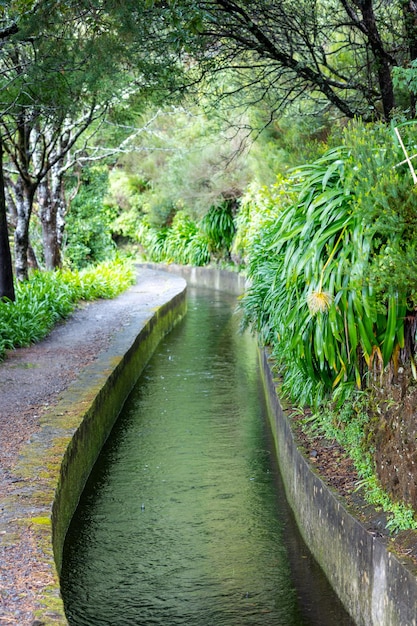 Beautiful Madeira landscape