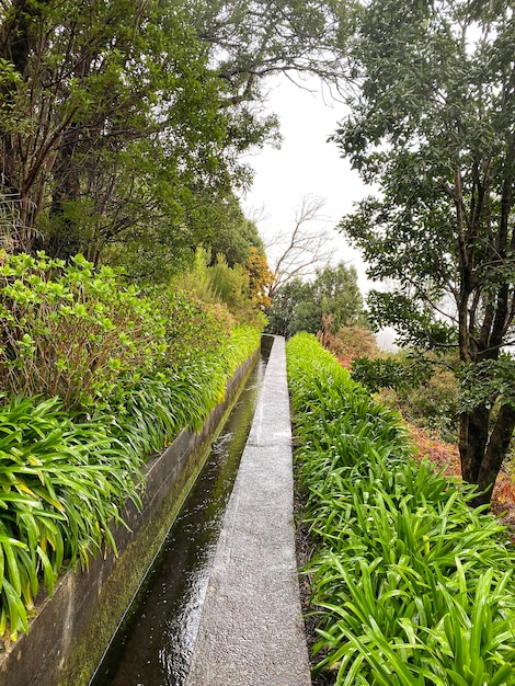 Beautiful Madeira landscape