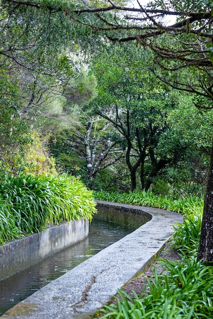 Beautiful Madeira landscape