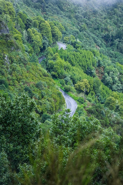 Beautiful Madeira landscape