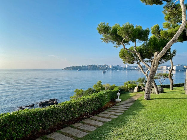 Beautiful Majorcan landscape