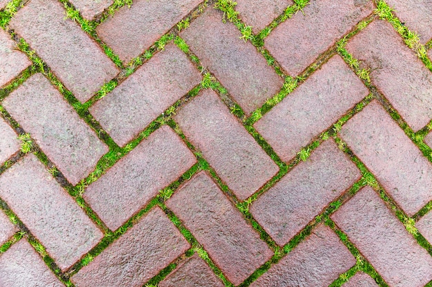 Beautiful masonry cobblestone pavement with grass sprouted in the seams. Close-up. . copyspace.