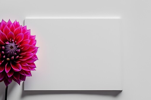 Photo beautiful mockup of charming dahlia flower on white paper