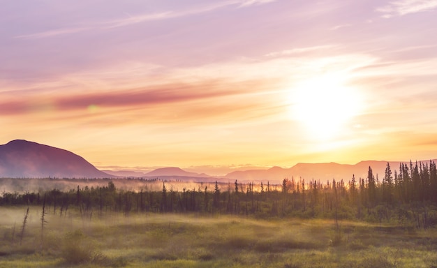 Beautiful morning scene in the mountains. Fog at sunrise.