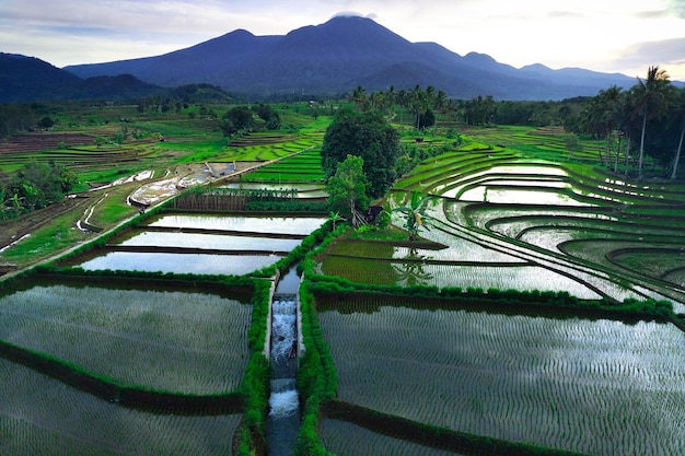 beautiful morning view from Indonesia of mountains and tropical forest