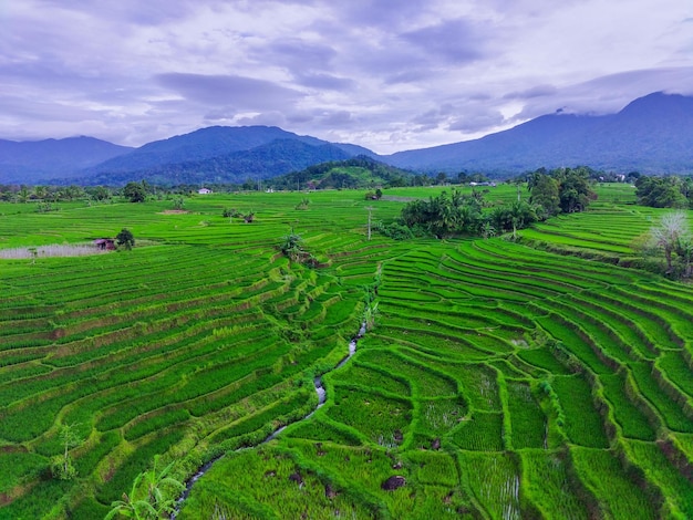 beautiful morning view from Indonesia of mountains and tropical forest