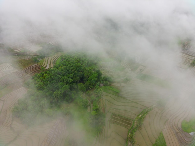 Beautiful morning view of Indonesia Aerial photo of green rice fields and forests during fog