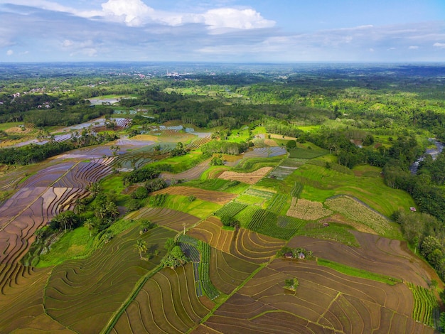 Beautiful morning view of Indonesia Aerial photo of panoramic expanse of green rice fields