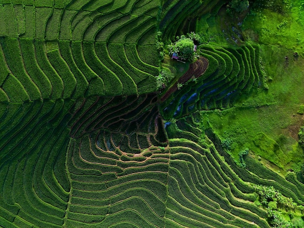 Beautiful morning view of Indonesia natural panorama with the beauty of the colors and natural