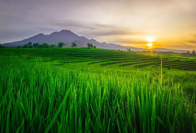 Beautiful morning view of Indonesia natural panorama with the beauty of the colors and natural