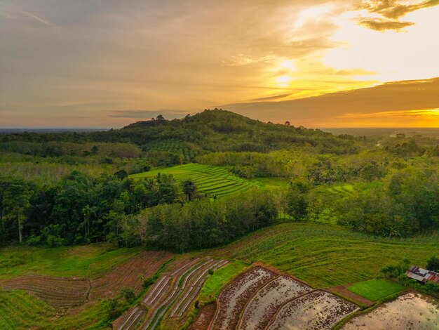 Beautiful morning view indonesia Panorama Landscape paddy fields with beauty color and sky natural