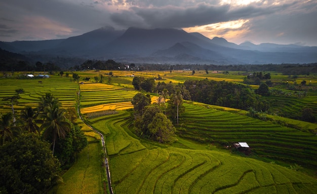 Beautiful morning view indonesia Panorama Landscape paddy fields with beauty color and sky natural