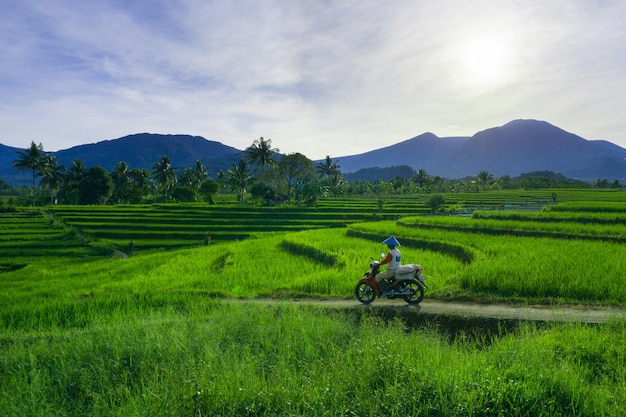 Beautiful morning view in Indonesia Panorama of the village with farmers on their way to work