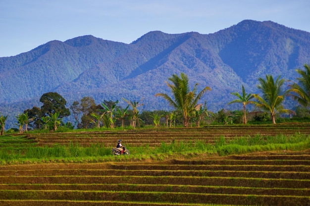 Beautiful morning view of Indonesia Panoramic view of mountain during sunny morning