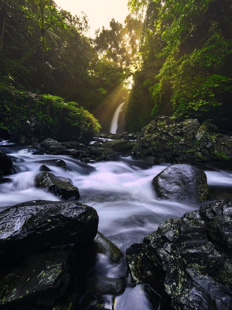 Beautiful morning view in Indonesia Panoramic view of the waterfall with the beauty of natural sunrise light