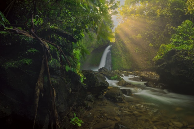 Beautiful morning view with sunshine at waterfall in tropical forest