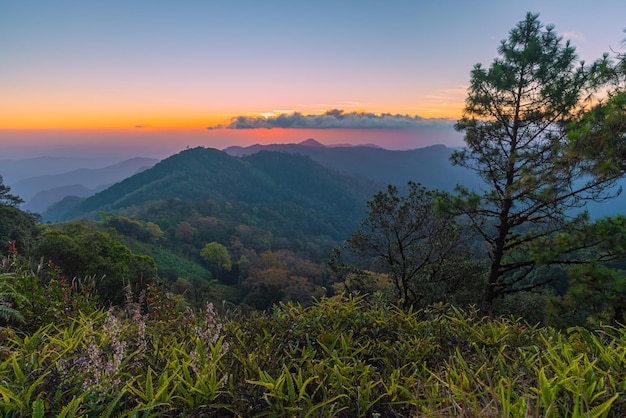 Beautiful mountain background with colorful sky Jurassic world jungle for trekking and camping