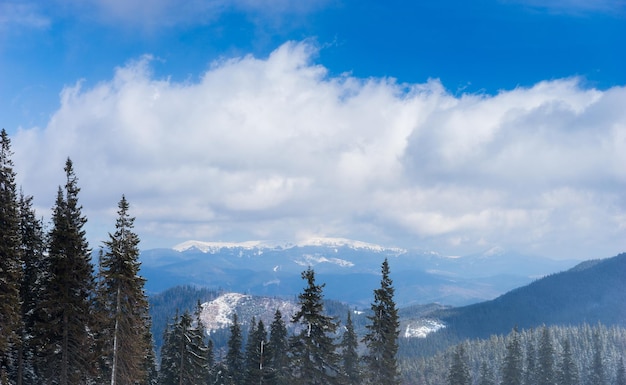 Beautiful mountain forest under blue sky with clouds