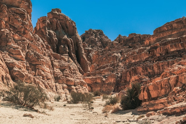 Beautiful mountain landscape in Sinai desert, Egypt. Canyon in South Sinai.