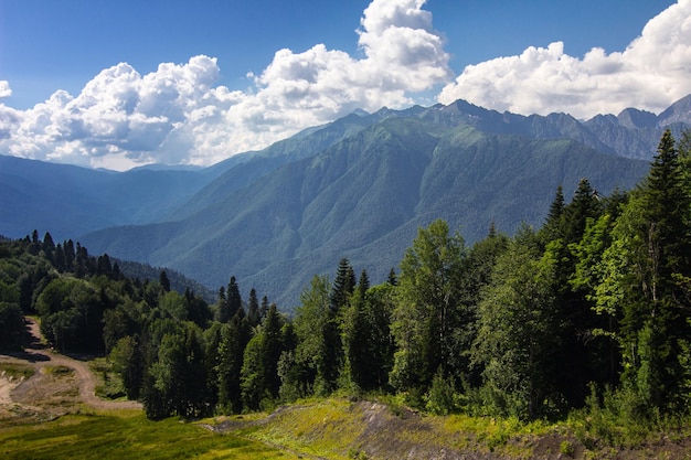 Beautiful mountain landscape on a Sunny summer day Coniferous trees blue sky with white clouds