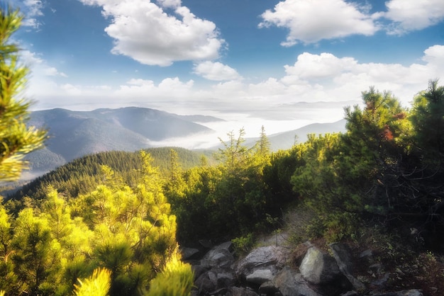 Beautiful mountain landscape with rocky trekking path misty valley blue sky and coniferous forest on mountain peaks