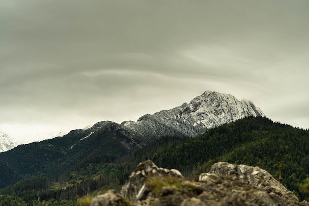 Beautiful mountain peaks overgrown with greenery incredible wildlife