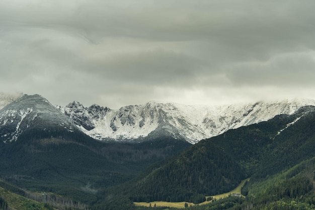 Beautiful mountain peaks overgrown with greenery incredible wildlife