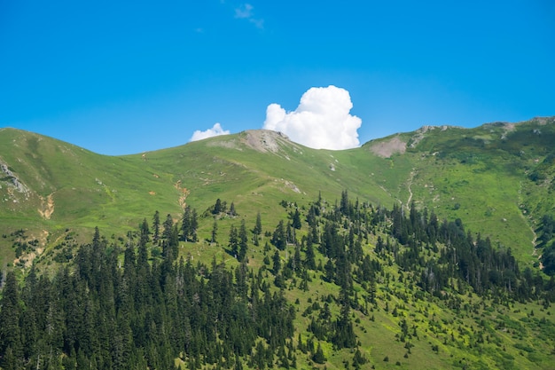 Beautiful mountain resorts of Georgia