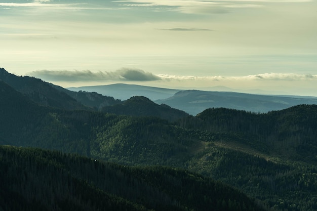 Beautiful mountain valleys overgrown with greenery, incredible wildlife