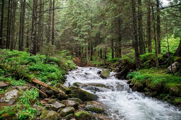 Beautiful mountain waterfall with trees in the background