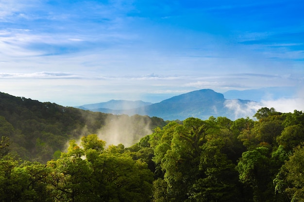 Beautiful Mountains in clouds at sunrise in summer Aerial view of mountain peak with green trees in fog Beautiful landscape with high rocks forest sky